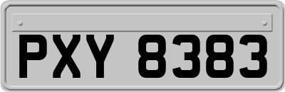 PXY8383