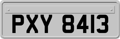 PXY8413