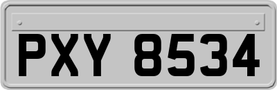 PXY8534