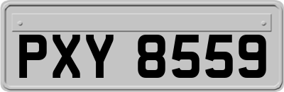 PXY8559