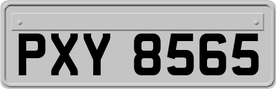 PXY8565