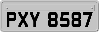 PXY8587