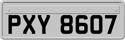 PXY8607