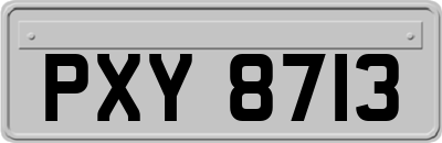 PXY8713