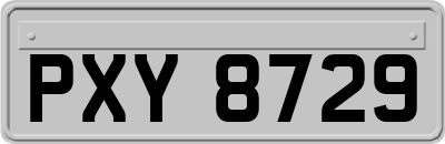 PXY8729