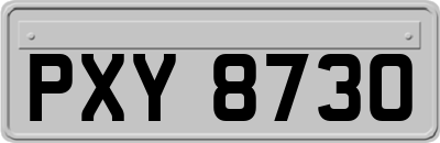 PXY8730