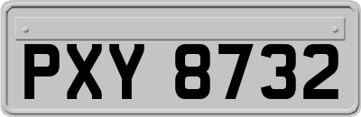 PXY8732