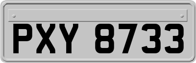 PXY8733