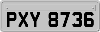 PXY8736