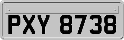 PXY8738