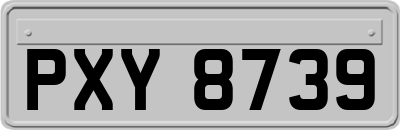 PXY8739