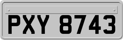 PXY8743