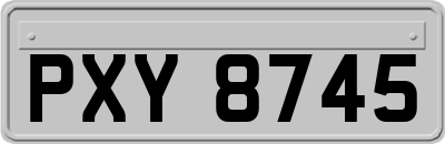 PXY8745