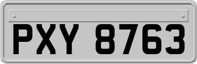 PXY8763