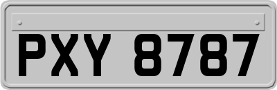 PXY8787