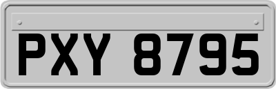 PXY8795