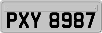 PXY8987