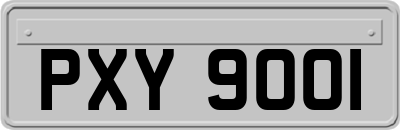 PXY9001