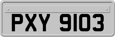 PXY9103