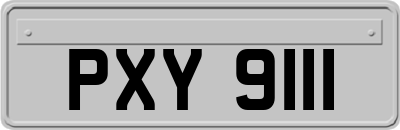 PXY9111