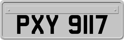 PXY9117