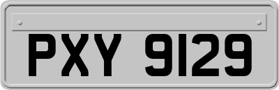 PXY9129