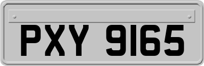 PXY9165