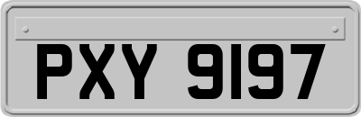 PXY9197