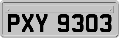 PXY9303