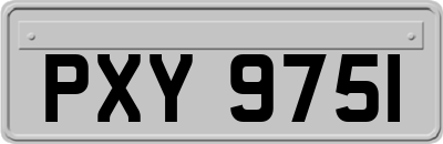 PXY9751