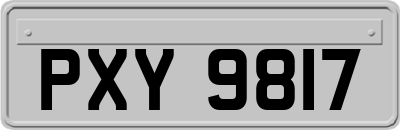 PXY9817