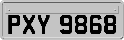 PXY9868