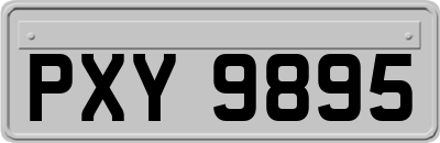 PXY9895