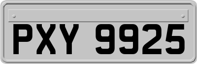 PXY9925