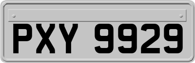 PXY9929