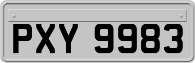 PXY9983