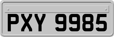 PXY9985