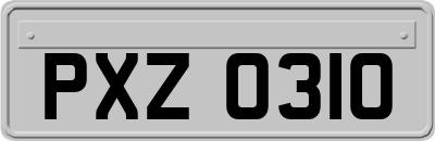 PXZ0310