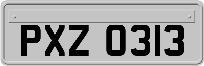 PXZ0313