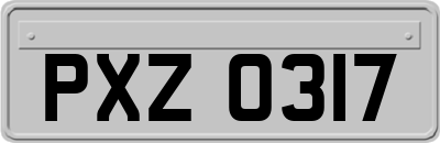 PXZ0317