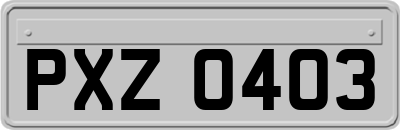 PXZ0403