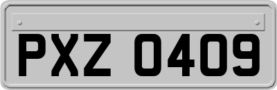 PXZ0409