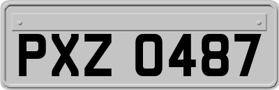 PXZ0487