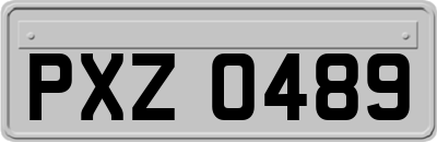 PXZ0489