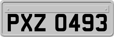 PXZ0493