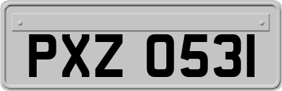 PXZ0531