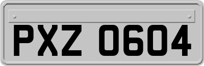 PXZ0604