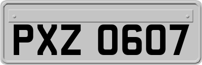 PXZ0607