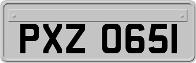 PXZ0651