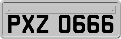 PXZ0666